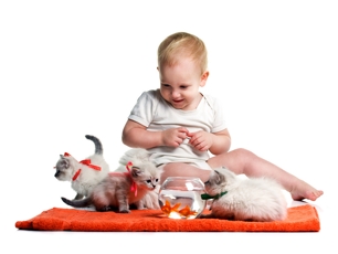 Товары для аквариумов: рыбки, корма, оборудование. Товары для аквариумов: рыбки, корма, оборудование.