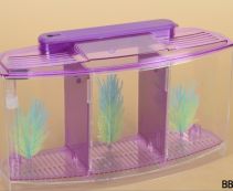 Аквариум для петушков, тройной (BBT4S)