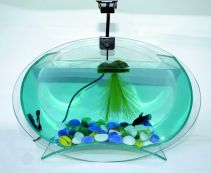 Аквариум стеклянный 3,7л со светодиодным светильником 2Вт (V-209C)