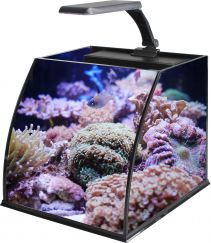 Аквариум 11л, в комплекте со светильником (2,4Вт) и фильтром (BELLYBOX25)