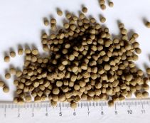 KOI Growth. Гранулы