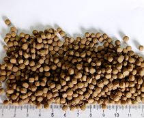 KOI Wheat Germ. Гранулы с ростками пшеницы для поддержания хорошей формы, (4мм) мешок 20кг (KF Wheat-20)